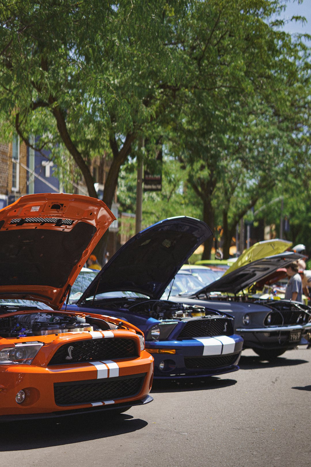 classic-ford-mustangs-are-on-display-with-hoods-open-crgslopf-j0